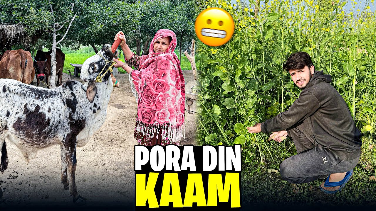 Sardi Mein Pura Din Khet Ka Kaam | Gaon Ki Zindagi