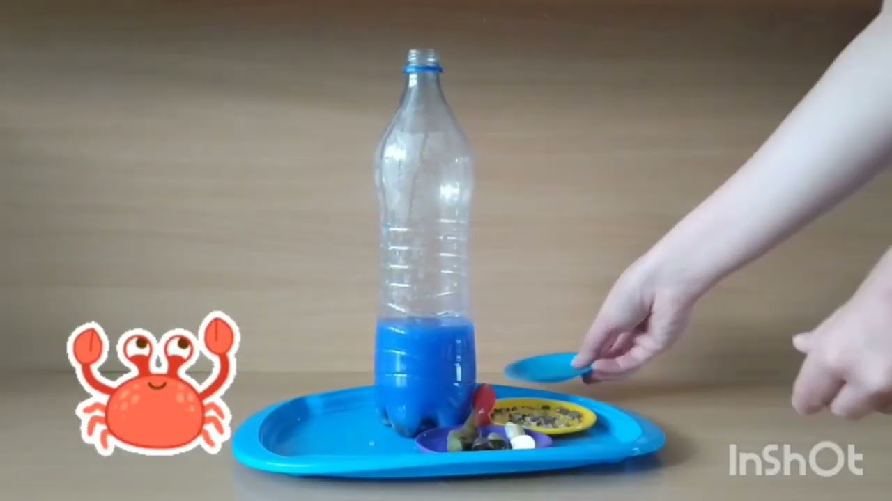 Кольоровий тиждень. Синій день