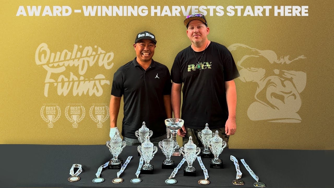 Meet the Growers Who Swept the Errl Cup Using Lotus Nutrients and Gorilla Grow Tent Gear