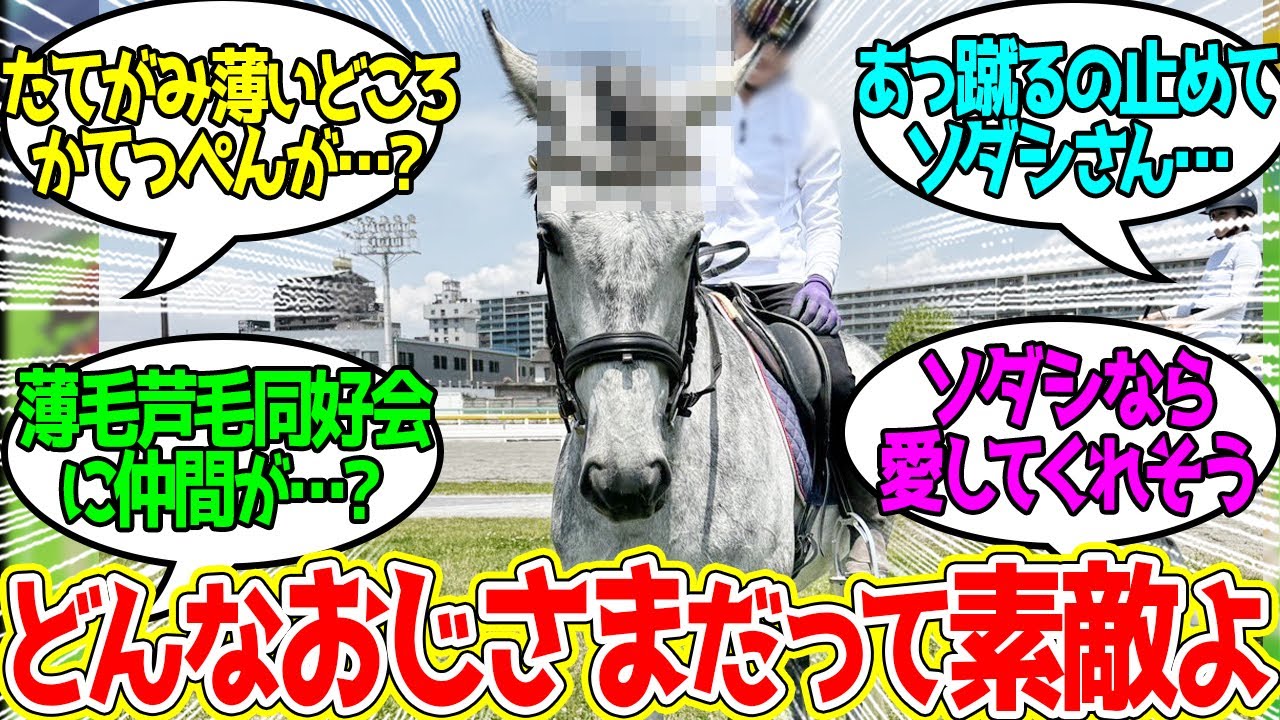 ミューチャリーおじさん…もしかして…に対するみんなの反応！【競馬 の反応集】