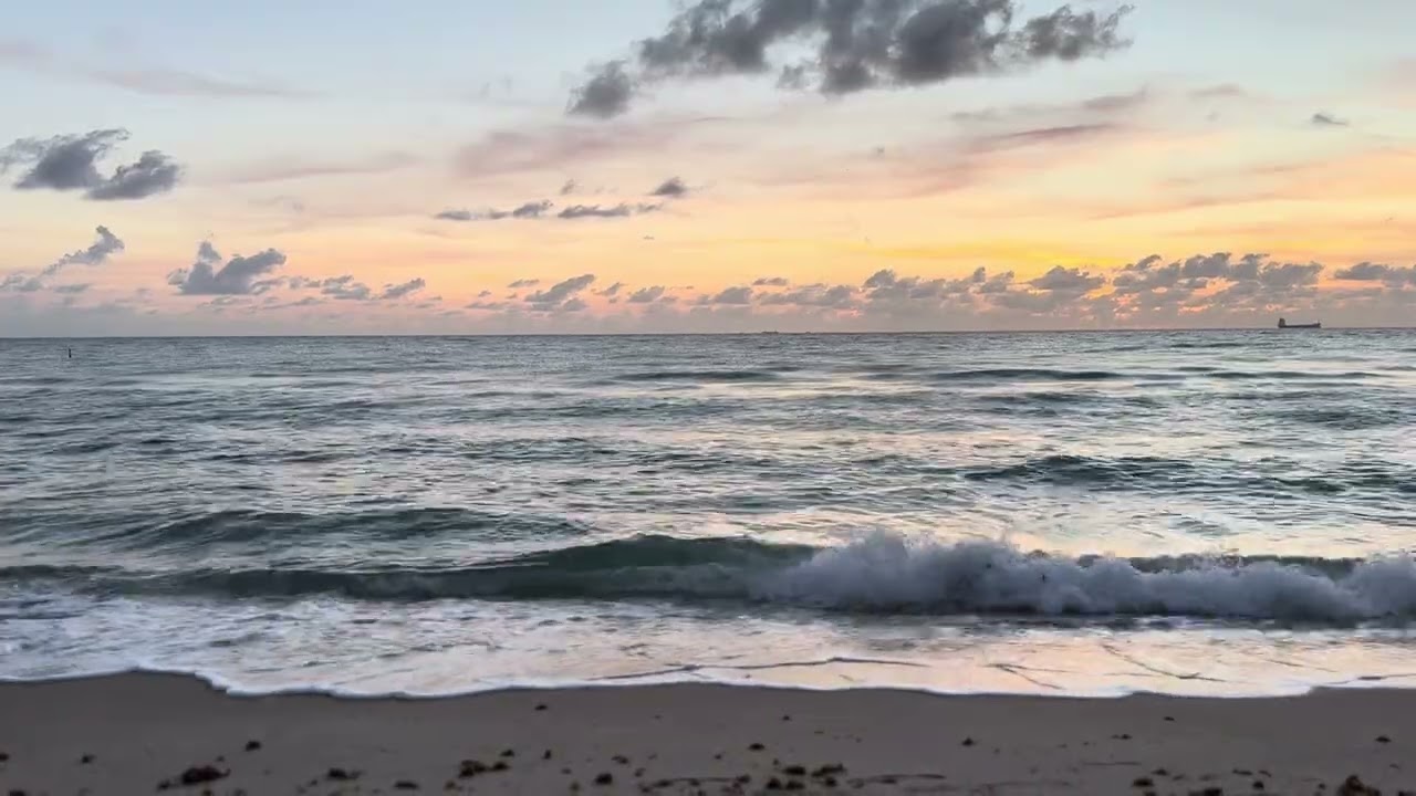 Fort Lauderdale Beach  1-9-2026