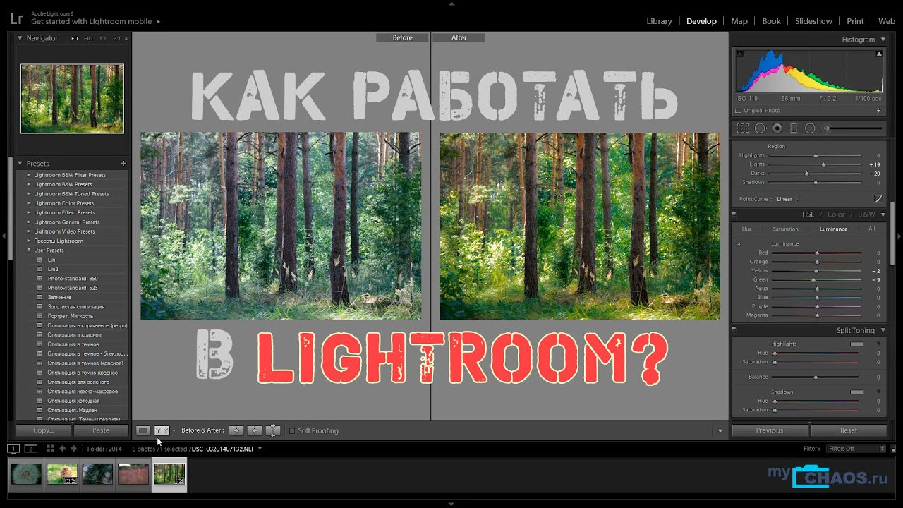 Как работать в Lightroom? Основы и примеры обработки фотографий
