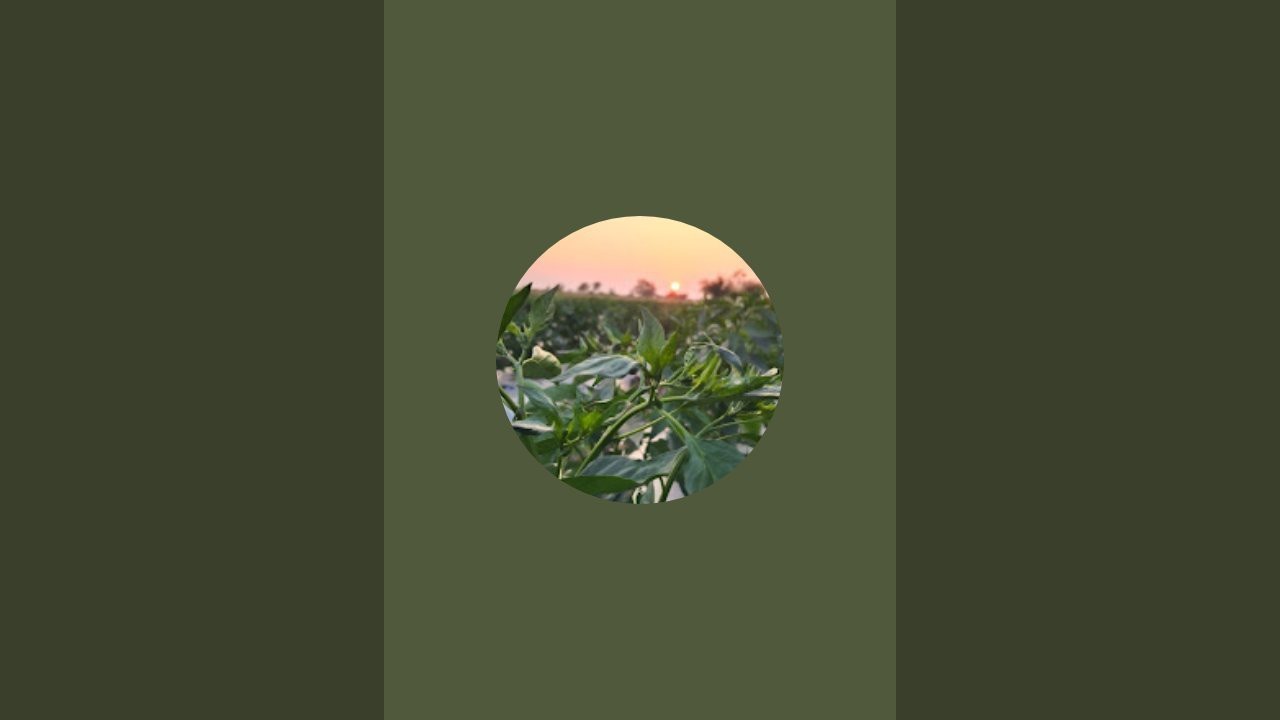 Farmer Kiran Mali is live!शेतातला खरा संघर्ष 🔴 LIVE