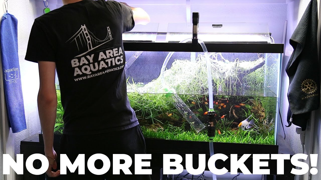 Python Water Changing System | How To Use It And Review