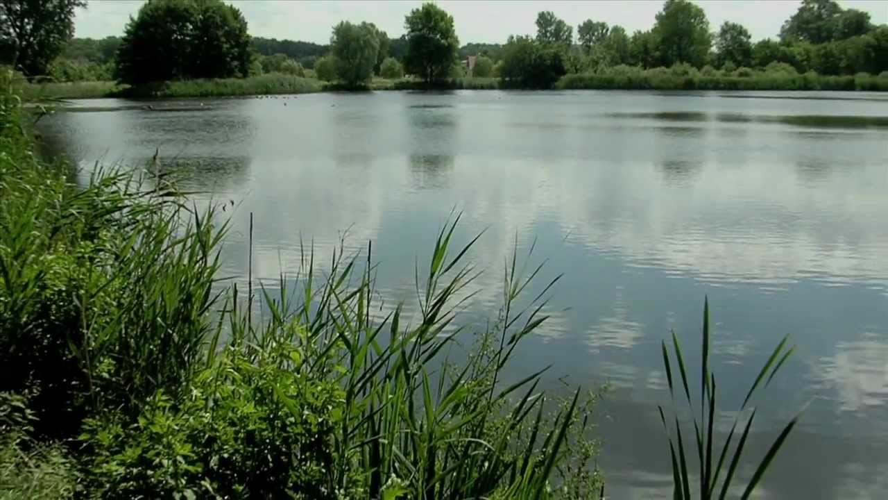 Rieselfelder Windel bei Bielefeld