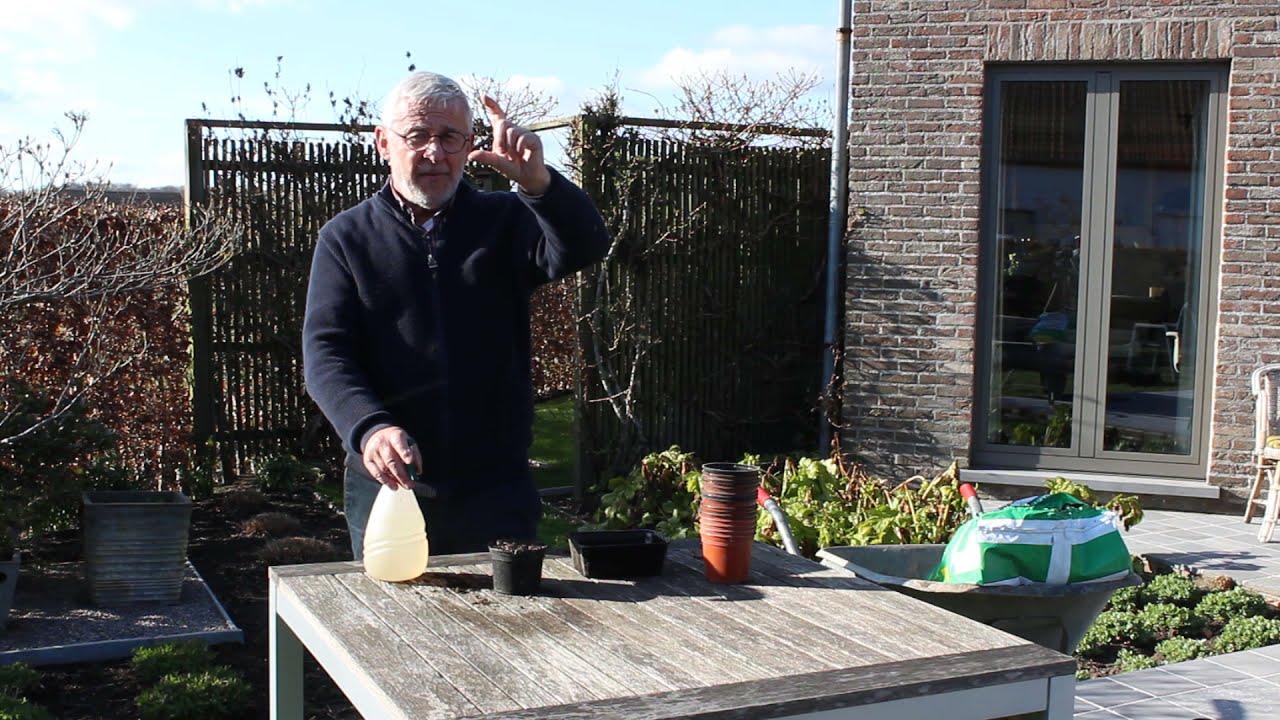 Tuinhier Groot Oostkamp: Hoe pompoenen zaaien?