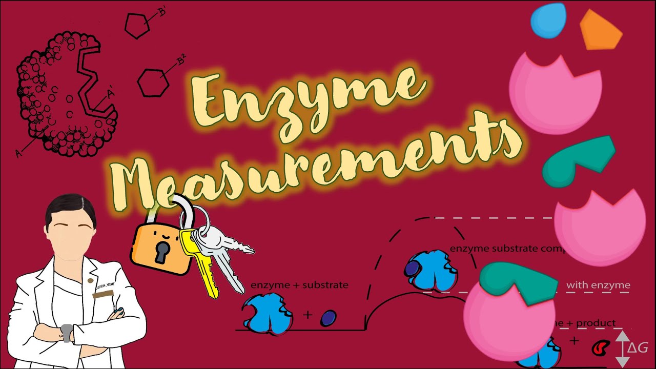 ENZYMES
