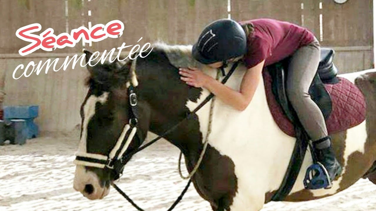 SÉANCE COMMENTÉE |Travail à pied | Ce cheval est incroyable ! 💙