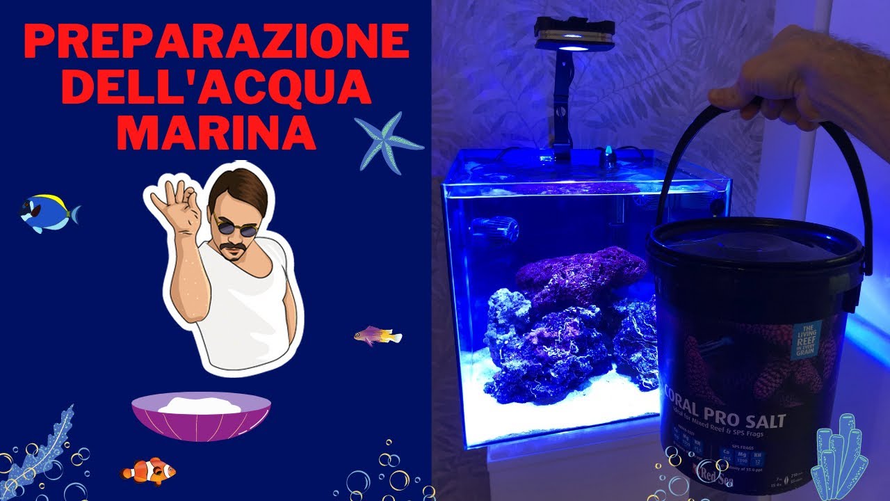 Preparazione acqua salata per il mio acquario marino (Nano Reef da 50 litri)