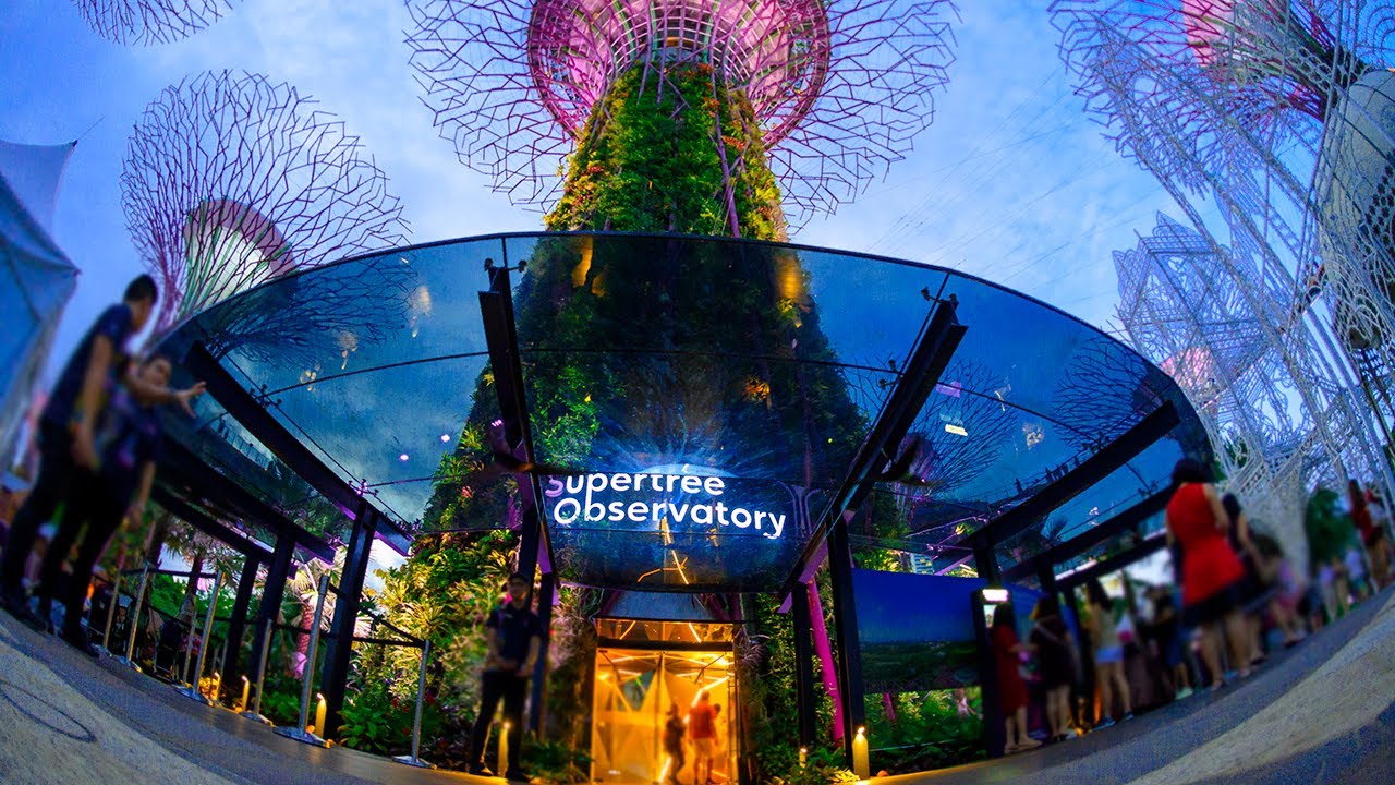 Gardens by the Bay Supertree Observatory (New)