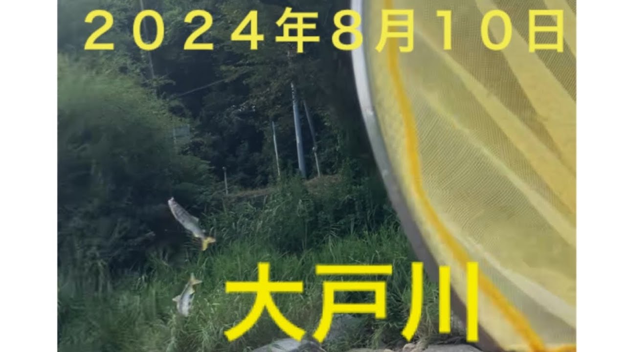 大戸川アユ釣り　執念の仕掛け回収