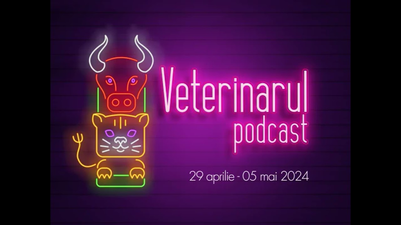 Episodul 2: Analiza 