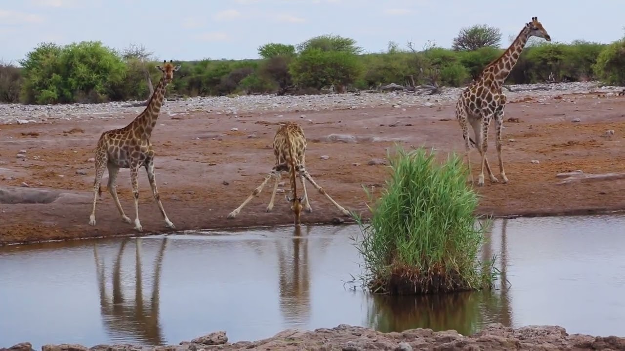 Explore Namibia - April - May 2026