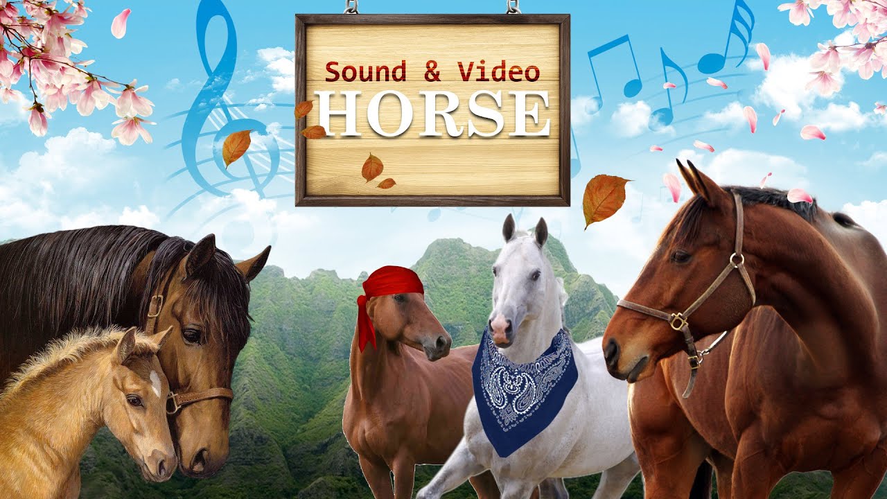 Animal Sounds of Horse snort & neigh