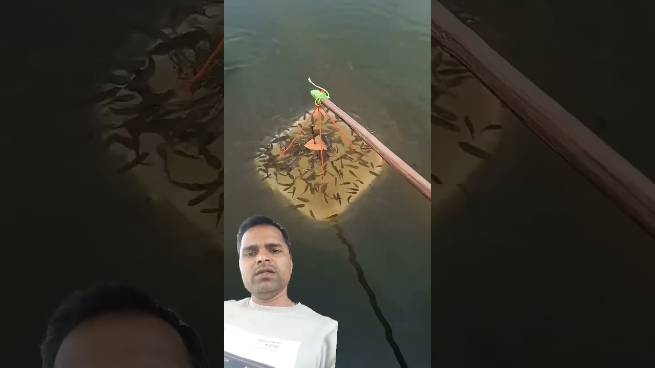 #kolamikan #pencariikan #fishing