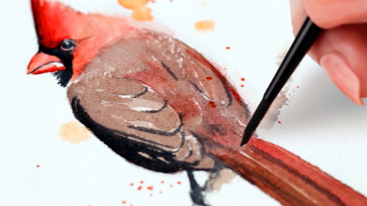Watercolor Backyard Birds Male Cardinal Easy Painting Tutorial