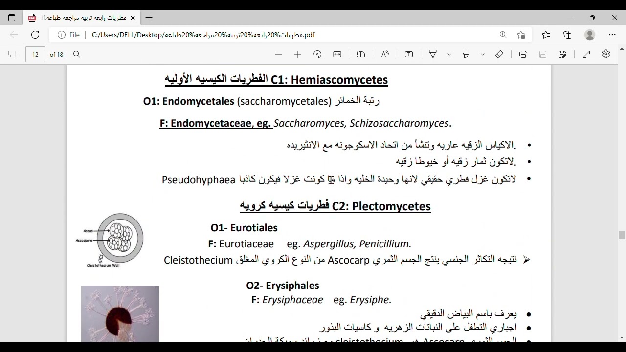 مراجعة كامله فطريات (الجزء الثاني) مع ا.م.د. نسمه السيد