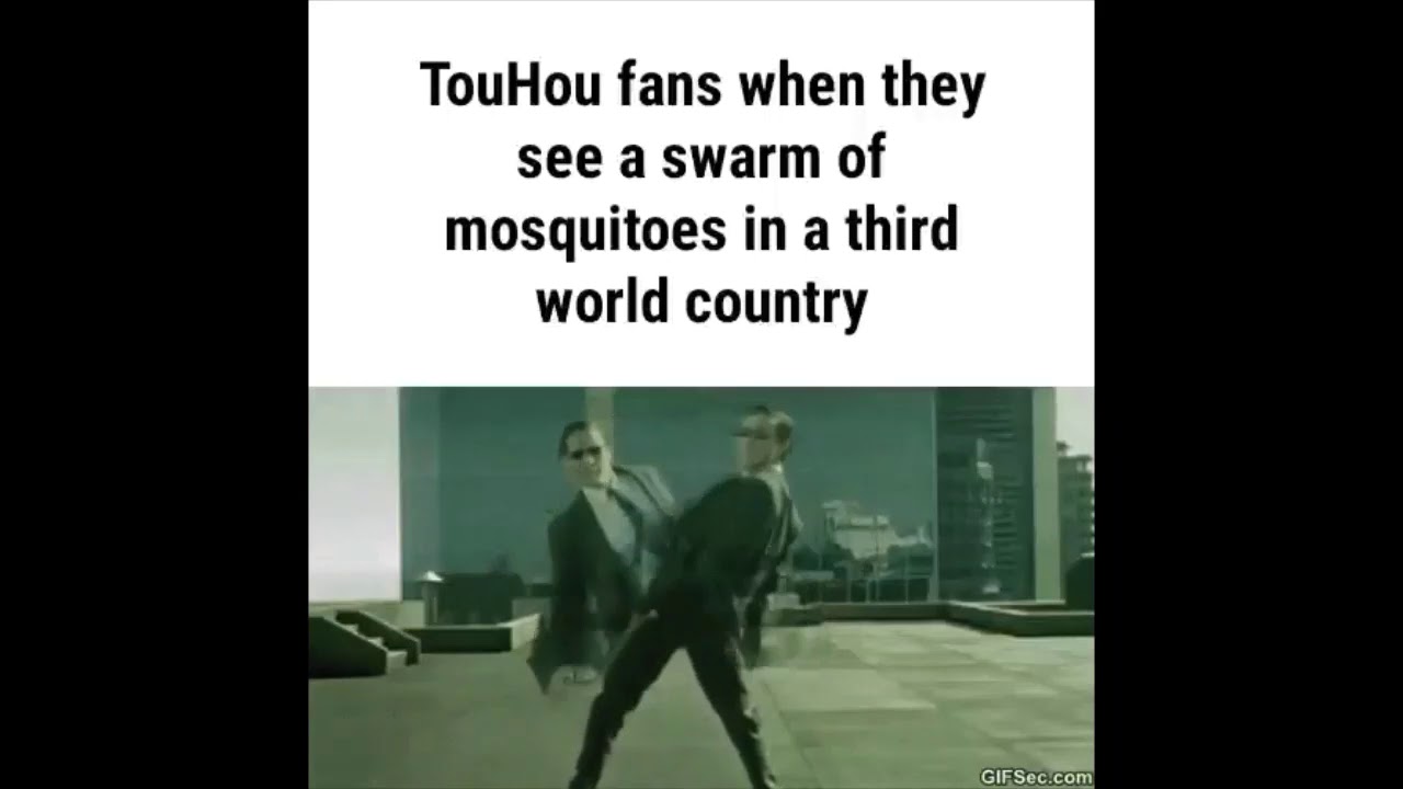 touhou fans when they see a swam of mosquitoes in a third world country