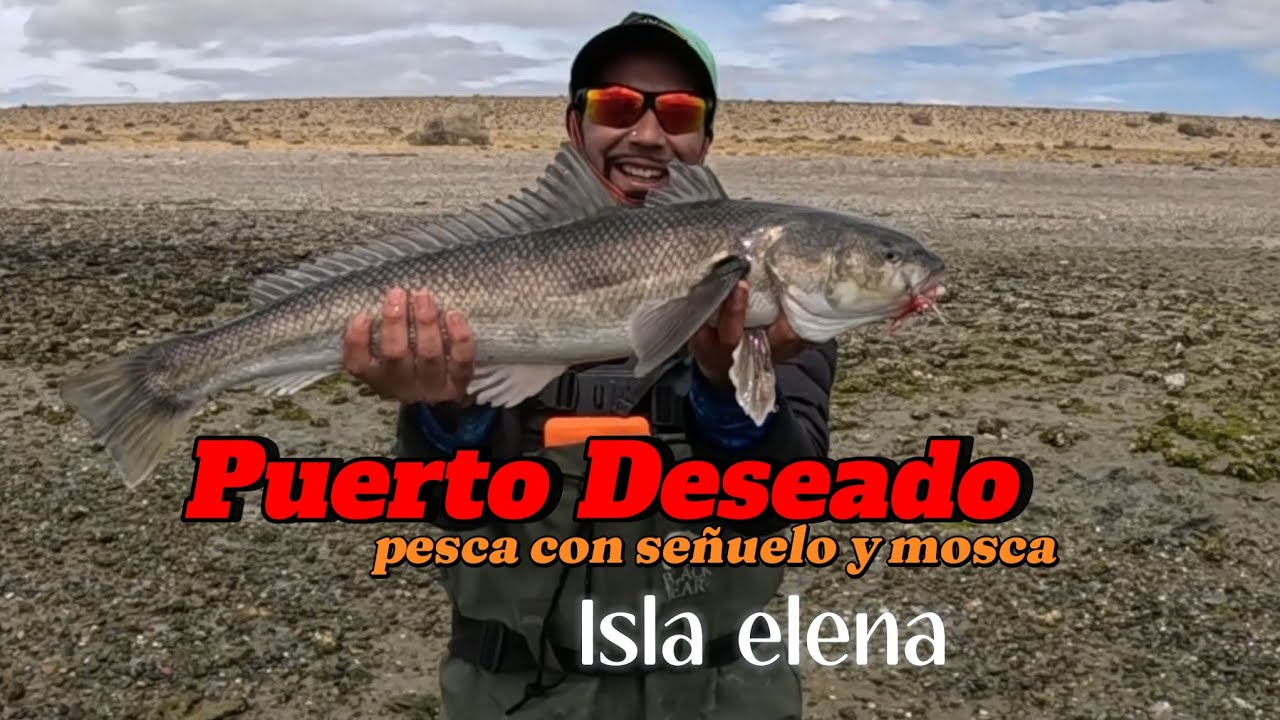 PESCA DE ROBALOS CON SEÑUELO Y MOSCA EN LA ISLA ELENA , PUERTO DESEADO , SANTACRUZ 
