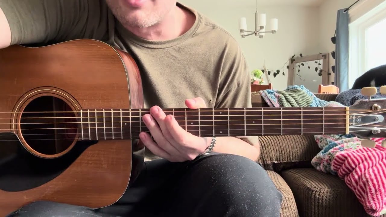 We Are Real by Silver Jews - guitar tutorial