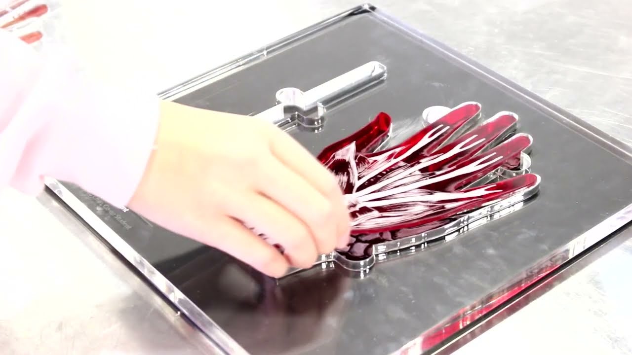 学校のレーザーカッター活用例「手の生体構造」 | トロテック・レーザー