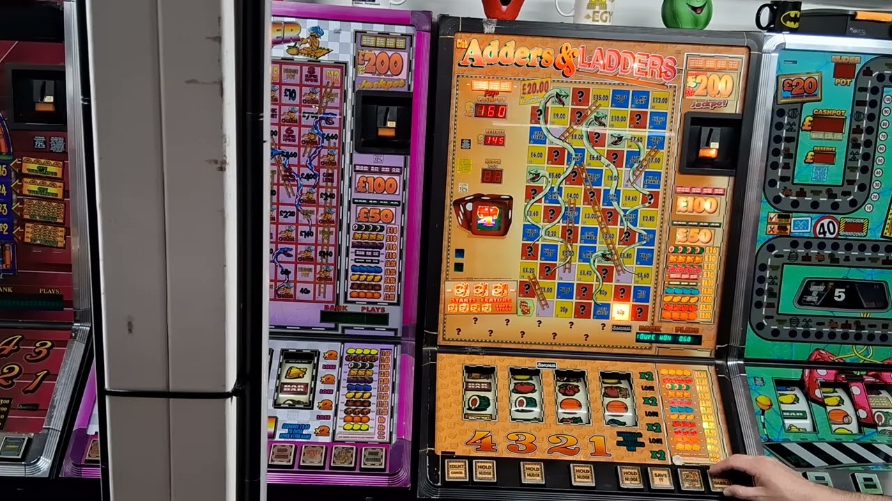 Club adders and ladders fruit machine 