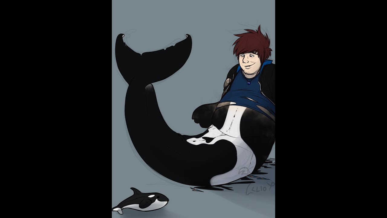 Orca Transformation / Orca TfTg