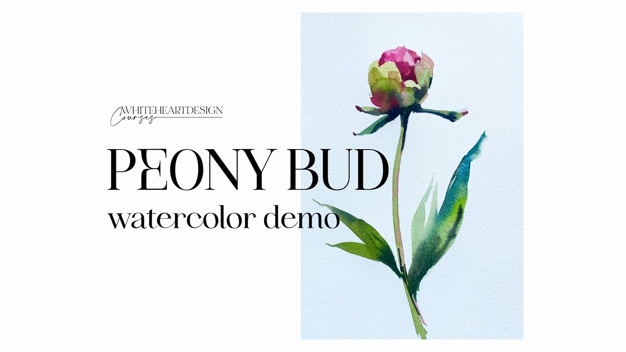 Peony Bud Watercolor Demo by Whiteheartdesign.
