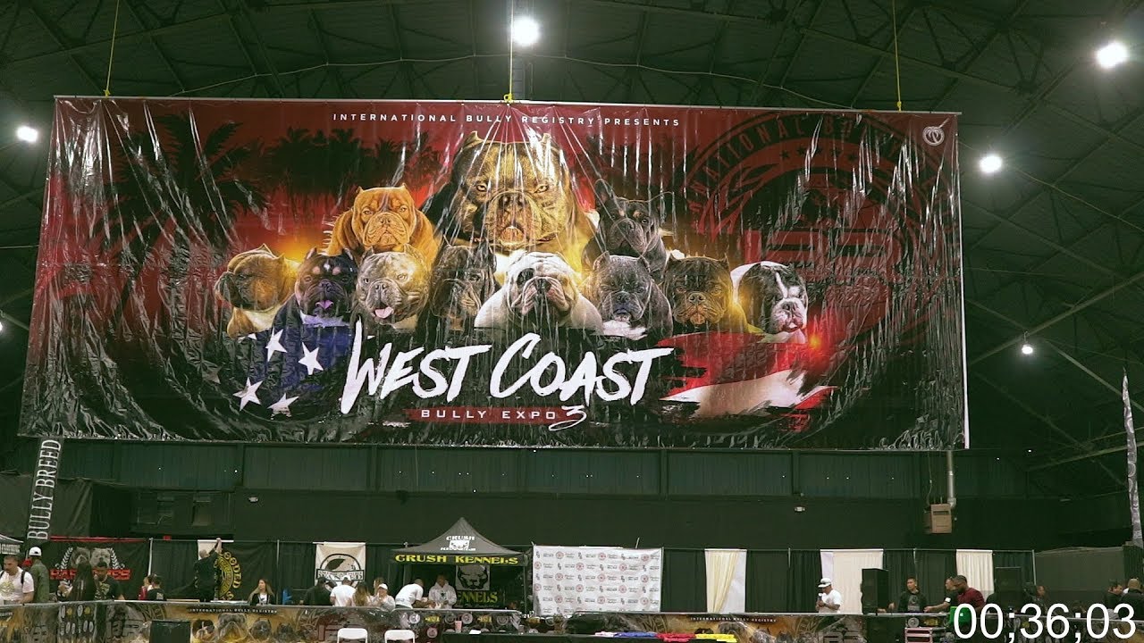 West Coast Bully Expo 3 (Event Coverage) 2018