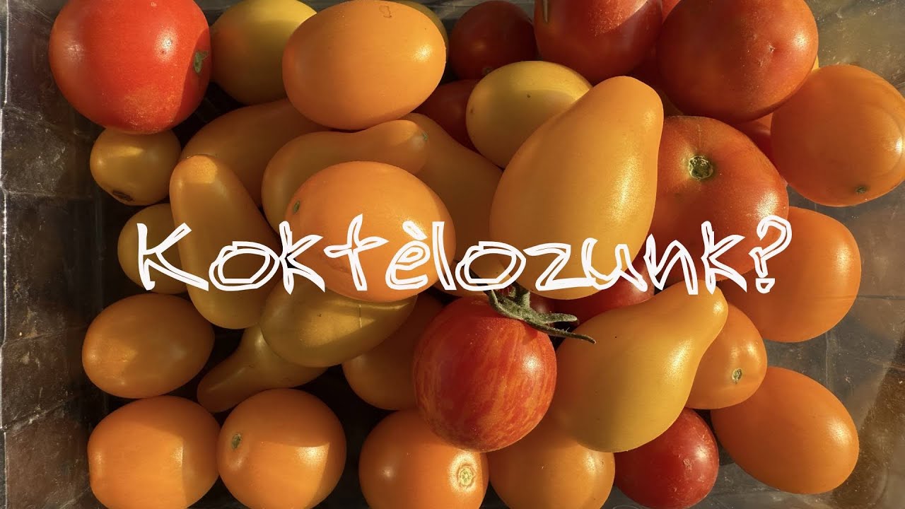 Ep. 361.: Koktélozunk? Koktélparadicsomok a kertben