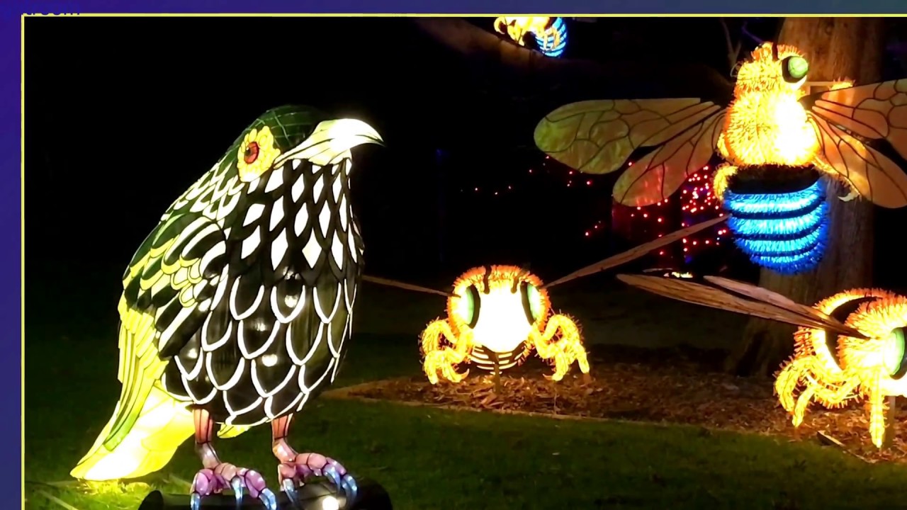 Vivid Sydney Toronga Zoo 2017