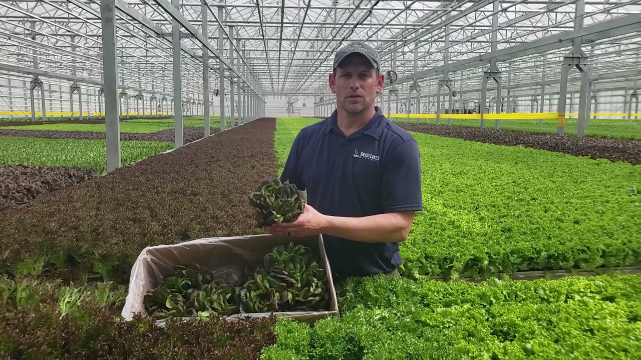Great Lakes Growers - Food Service 2021