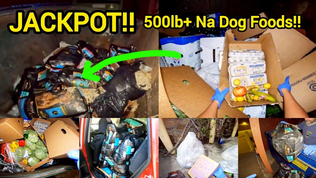Dumpster diving 2025 JACKPOT! GRABE!SAMPONG KABAN NG PAGKAIN 