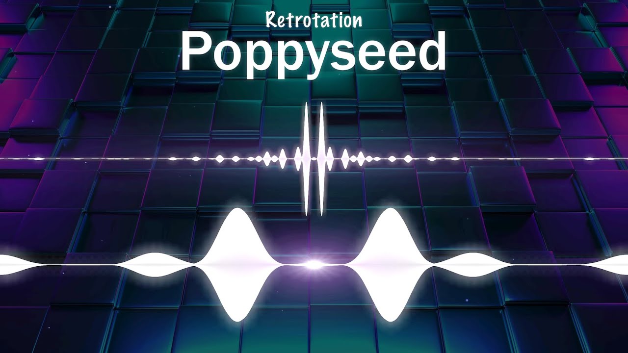 Retrotation - Poppyseed [The Visualizer]