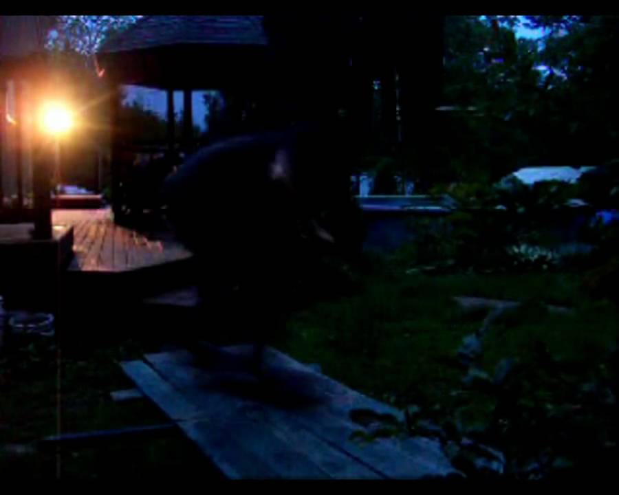 decksesh