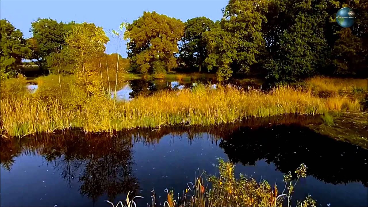 Bollenveen Zeijen Drenthe (The Netherlands)
