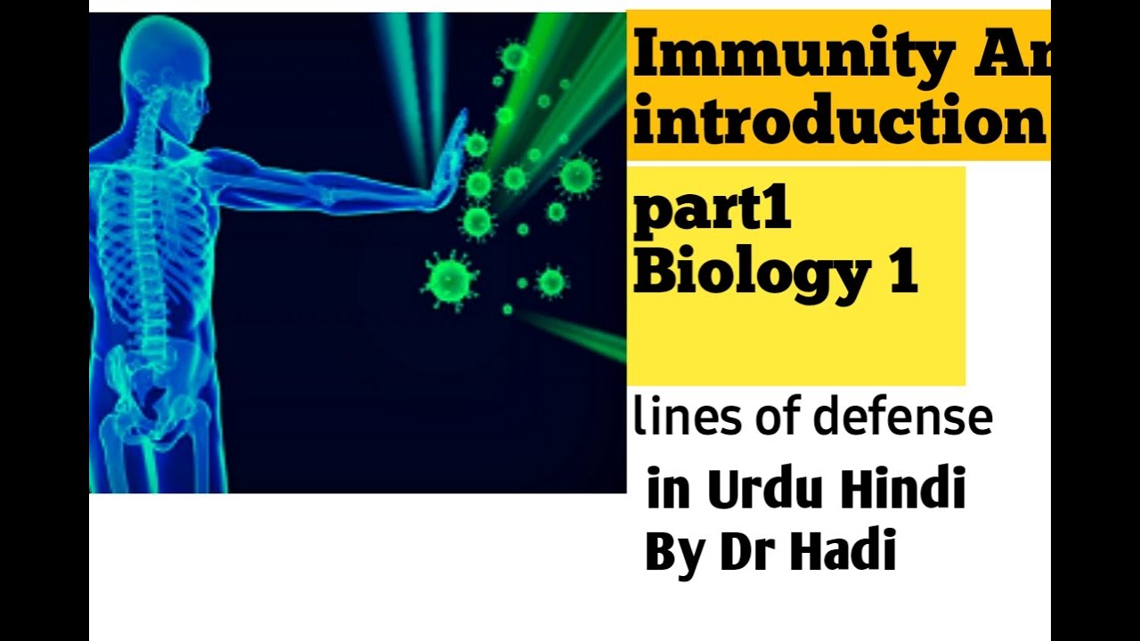 L-1 Immunity and lines of defense