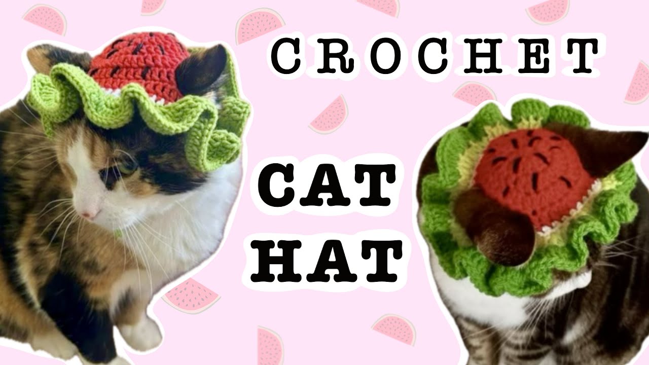 Урок вязания крючком шапки-котика в виде арбуза 🍉🐱 | Простой узор для начинающих
