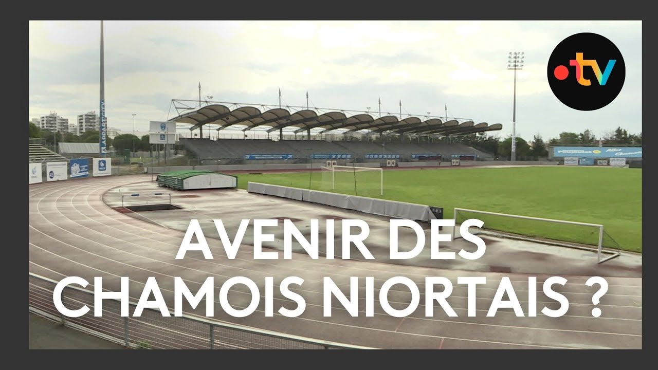 Les Chamois Niortais en liquidation judiciaire ?