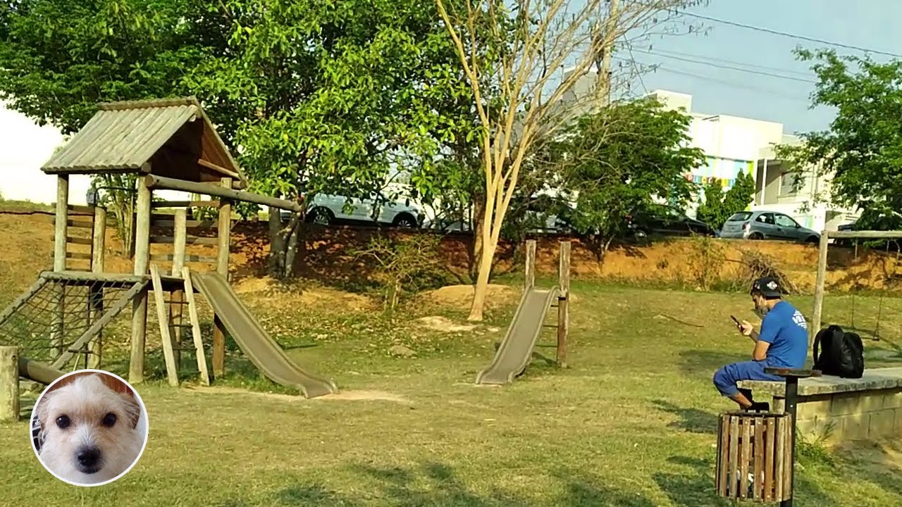 🚶‍♀️ 🏞️ Relaxing Walking in Park - calm walking