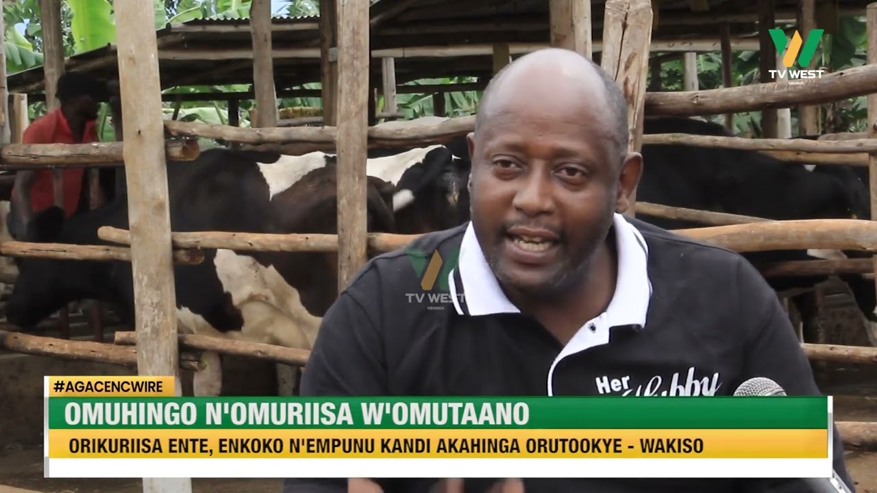 AGACENCWIRE: Omuhingi n'omuriisa w'omutaano
