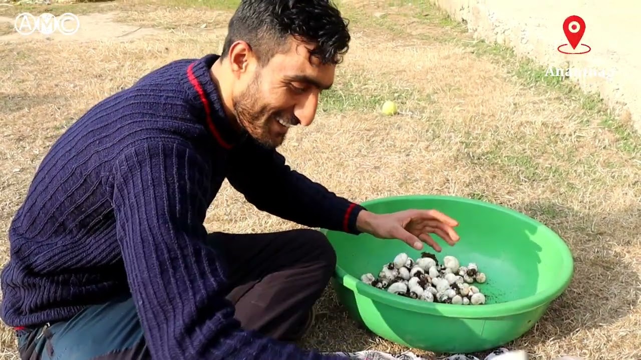 #Watch || Kashmir’s Educated Unemployed youths take to mushroom farming in anantnag || AMC