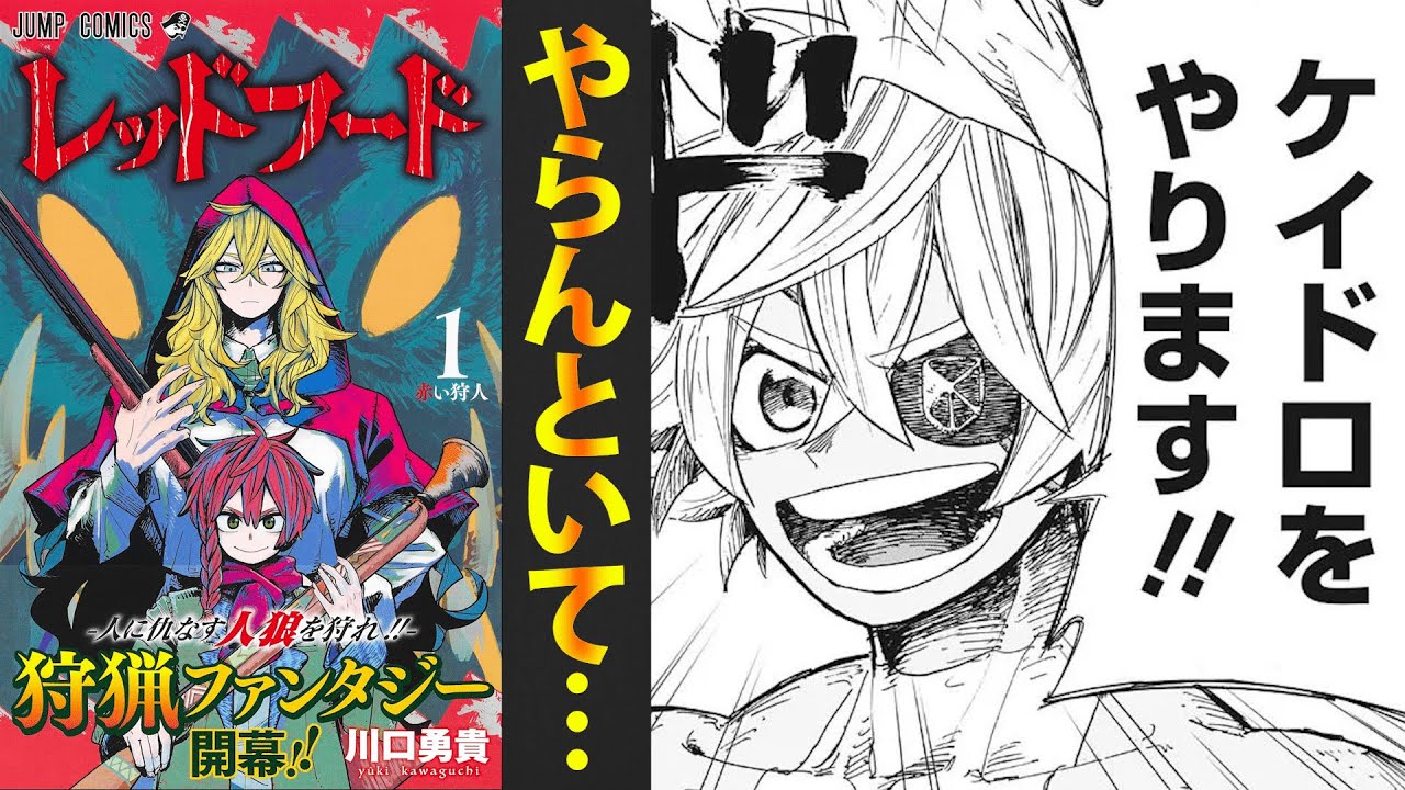 全話数の約半分をケイドロに費やしたレッドフード、逝く【ゆっくり解説】