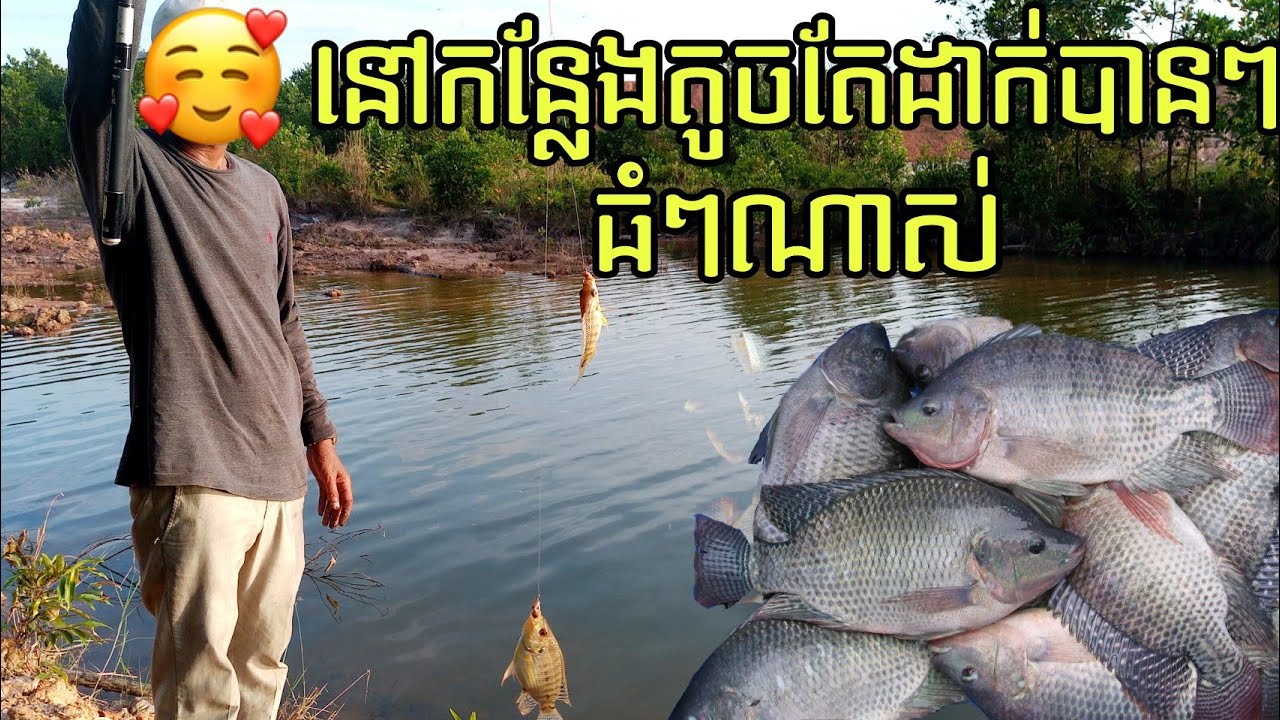 Net Fishing in Preah Sihanouk Provinces - Cambodia Traditional Fishing - Khmer Cast Net Fishing