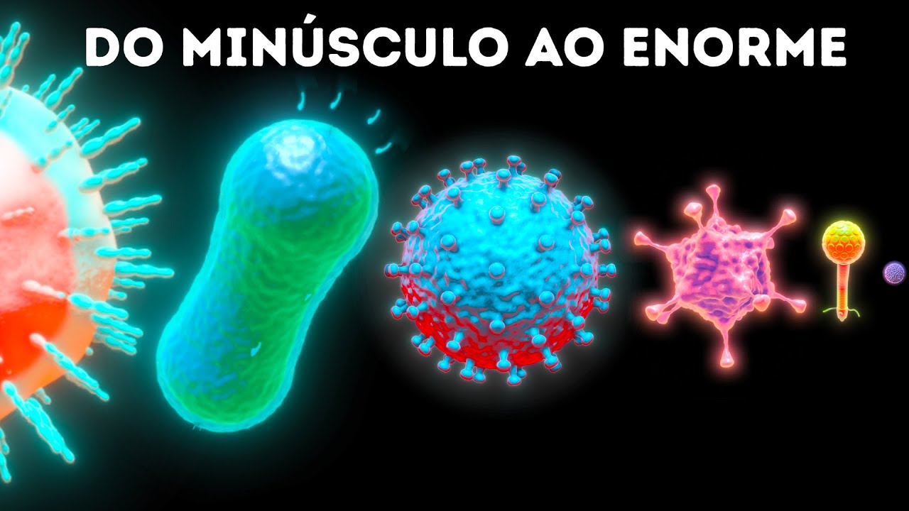 Micróbios – Do Menor Ao Maior
