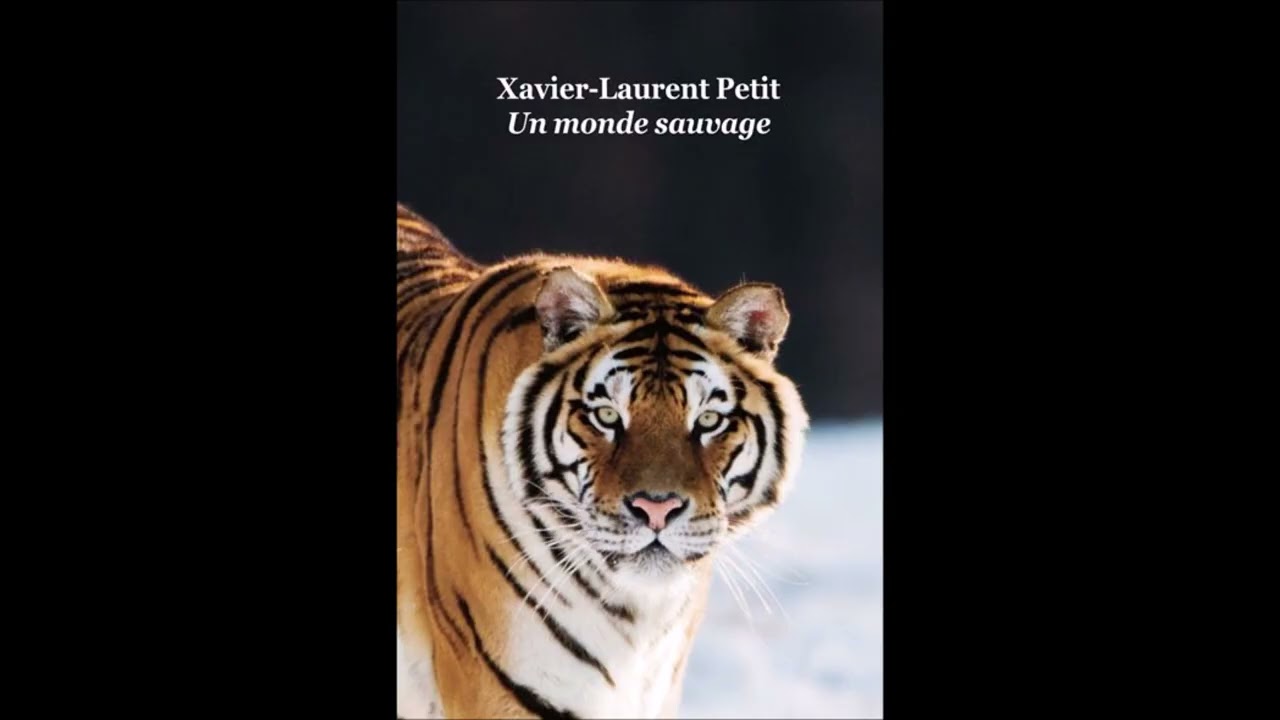 Xavier-Laurent Petit - Un monde sauvage