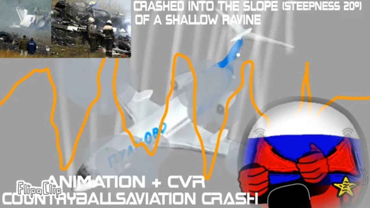 Pulkovo 612 crash (Animation FlipaClip)
