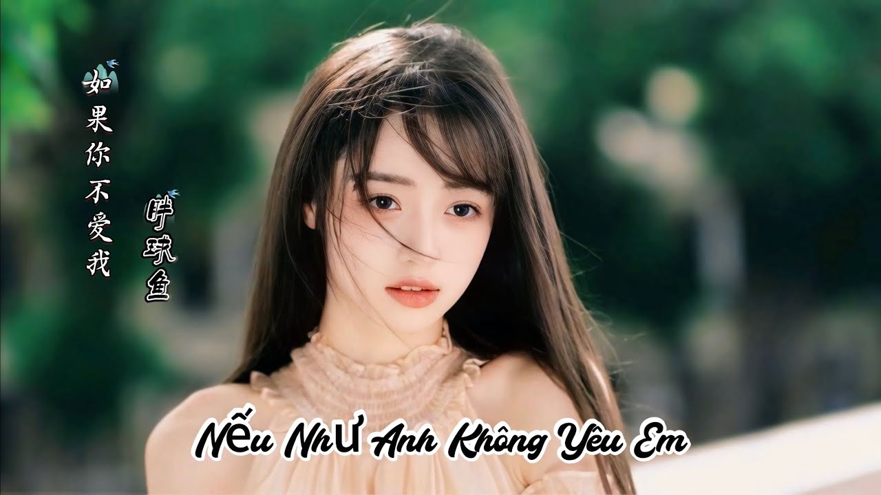 胖球鱼 - 如果你不爱我 Nếu Như Anh Không Yêu Em - Bàn Cầu Ngư (DJ抖音版 2025) Hot Tiktok Douyin
