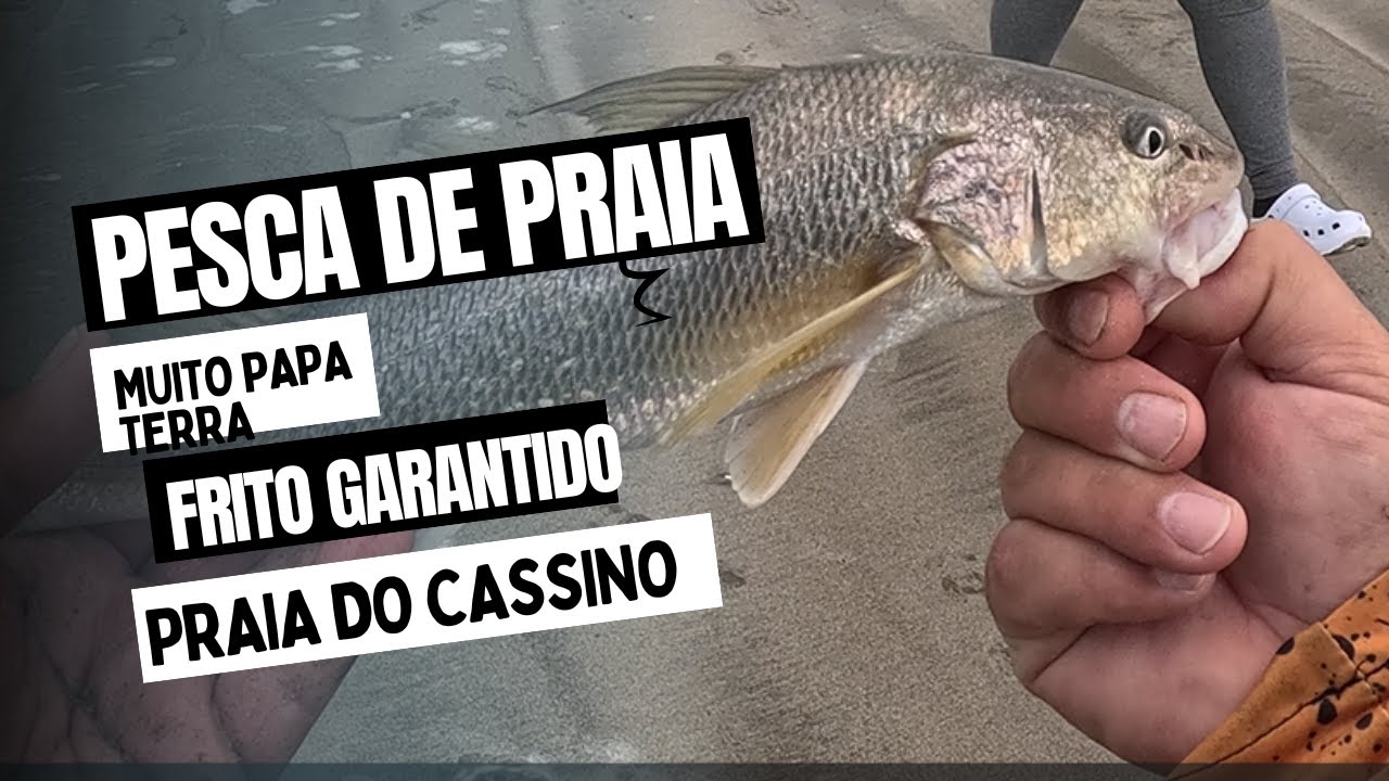 Pescaria de papa terra na praia do cassino  #pescaria #pescadepraia