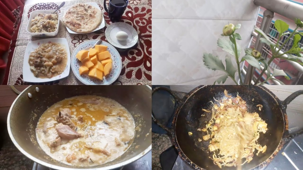 ঘরের প্রতিদিনের কাজকর্ম 🍃🌱